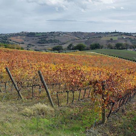 Agriturismo Al Rifugio Divino Belvedere Ostrense Екстер'єр фото