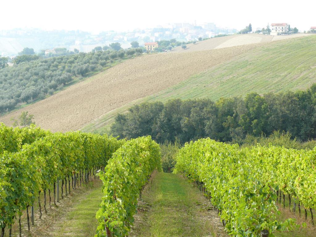 Agriturismo Al Rifugio Divino Belvedere Ostrense Екстер'єр фото